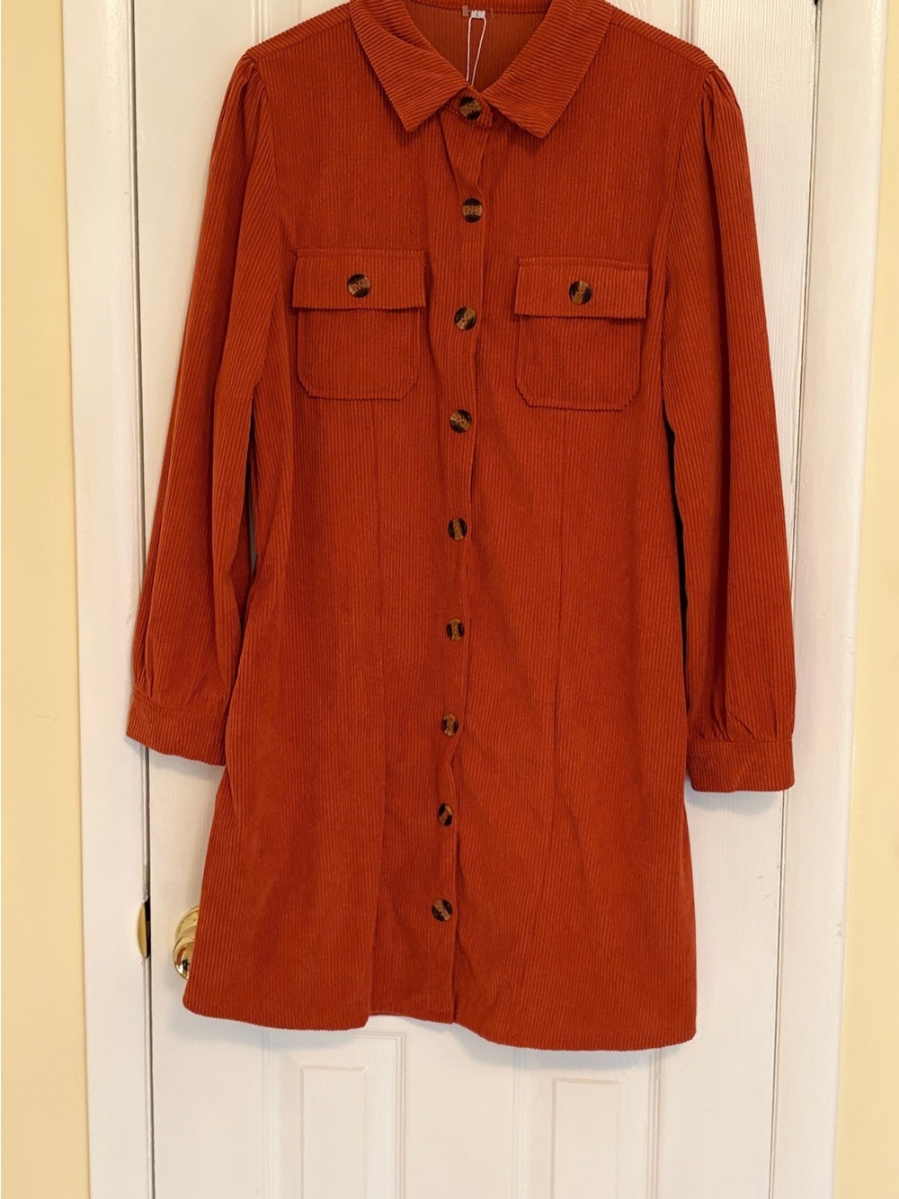 Alaster Queen Women's Corduroy Long Sleeve Dress /Tunic